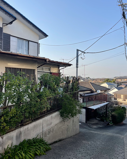 施工事例:生垣の強剪定作業