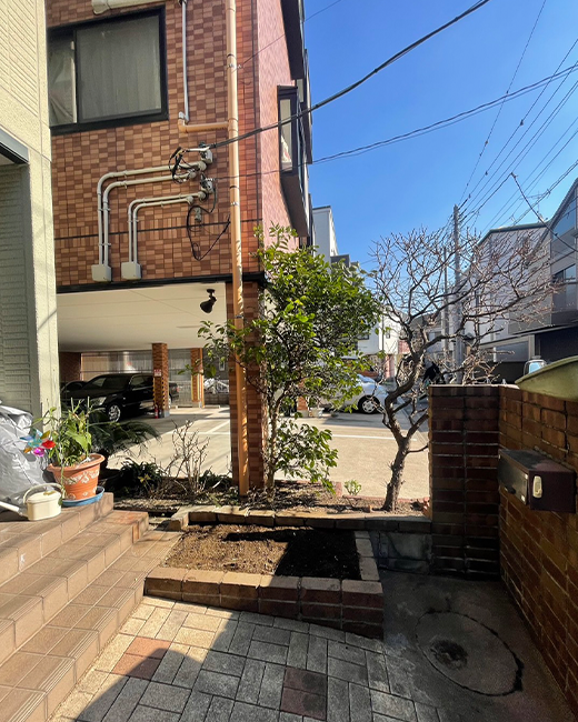 施工事例:ゴールドクレストの抜根作業