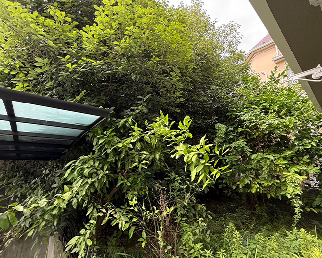 施工事例:お庭の剪定・防草シート、砂利敷きの施工