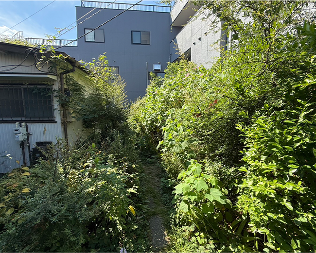 施工事例:長年放置していたお庭の剪定・草抜き