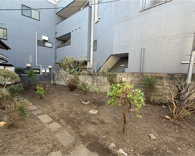 施工事例:長年放置していたお庭の剪定・草抜き