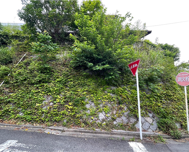 施工事例:放置していた家の剪定・伐採作業