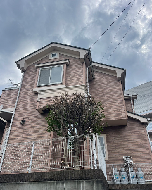 施工事例:金木犀の木の強剪定作業