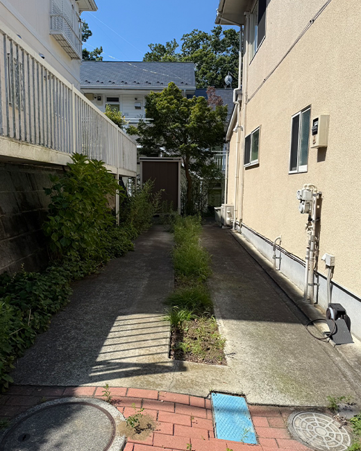 施工事例:駐車場の紅葉・草の処理作業