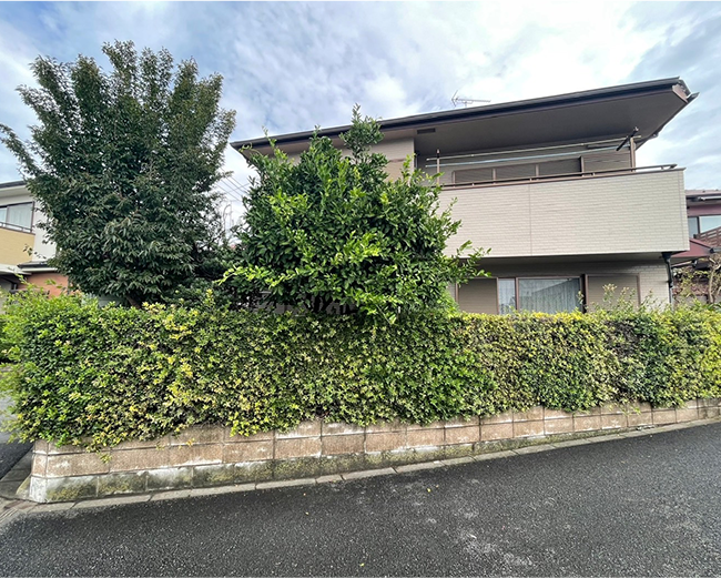 施工事例:生垣の剪定作業