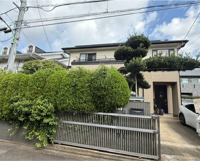 施工事例:マキの木の剪定作業