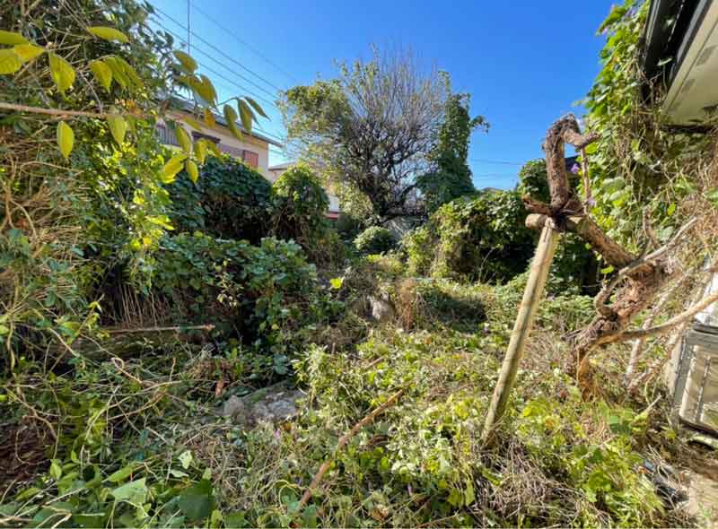 施工前のお庭。一面がツタに飲み込まれ、境界が分からないほど枝葉が密集し、スズメバチの巣も潜んでいる危険な状態。